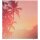 PAPERFLOW Trennwand easyScreen Tropical, 61289 bunt 160,0 x 173,4 cm, 1 St.