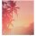 PAPERFLOW Trennwand easyScreen Tropical, 61289 bunt 160,0 x 173,4 cm, 1 St.
