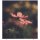 PAPERFLOW Trennwand easyScreen Garden Factory, 61117 bunt 160,0 x 173,4 cm, 1 St.