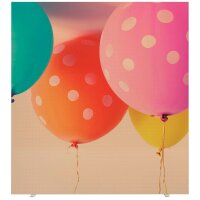 PAPERFLOW Trennwand easyScreen Colour, 61587 bunt 160,0 x...