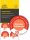 AVERY Zweckform Prüfplaketten 7904 rot 30,0 x 30,0 mm, 10 Blatt