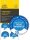 AVERY Zweckform Prüfplaketten 7909 blau 30,0 x 30,0 mm, 10 Blatt