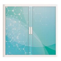 PAPERFLOW easyOffice Business Rollladenschrank 62192 2 Fachböden 110,0 x 41,5 x 104,0 cm