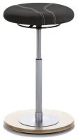 Mayer Sitz- & Stehhocker myERGOSIT 1110 N 26 487...
