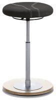 Mayer Sitz- & Stehhocker myERGOSIT 1110 N 26 487...