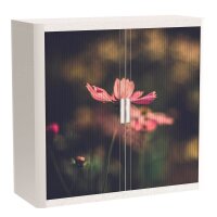 PAPERFLOW easyOffice Garden Factory Rollladenschrank...