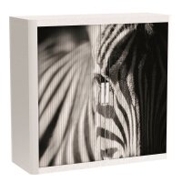 PAPERFLOW easyOffice Black & White Rollladenschrank...