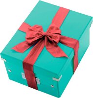 LEITZ Click & Store Aufbewahrungsbox 16,7 l eisblau 28,1 x 36,9 x 20,0 cm, 1 St.
