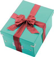 LEITZ Click & Store Aufbewahrungsbox 16,7 l eisblau 28,1 x 36,9 x 20,0 cm, 1 St.