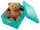 LEITZ Click & Store Aufbewahrungsbox 16,7 l eisblau 28,1 x 36,9 x 20,0 cm, 1 St.
