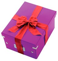 LEITZ Click & Store Aufbewahrungsbox 16,7 l violett 28,1 x 36,9 x 20,0 cm, 1 St.
