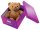 LEITZ Click & Store Aufbewahrungsbox 16,7 l violett 28,1 x 36,9 x 20,0 cm, 1 St.