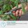 GARDENA FreshCut Gartenschere