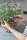 GARDENA FreshCut mit Kräuterschildern Gartenschere