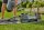 GARDENA Gartenpumpe 6500 Silent Comfort 1.300 W