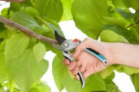 GARDENA B/L Gartenschere