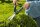 GARDENA Precision Cut Heckenschere