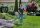 GARDENA EasyCut 450/25 Rasentrimmer 450 W