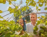 GARDENA AssistCut Gartenschere 3,6 V, mit 1 Akku