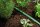 GARDENA Schlauchregner Ready-to-use 15,0 m