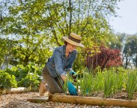 GARDENA Gartenhandschuhe 42% Polyester, 55% Nitril, 3% Elasthan, Nitrilbeschichtung der Handflächen blau Größe 9, 1 Paar
