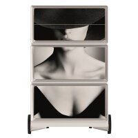 PAPERFLOW easyBox Classic Chic Rollcontainer weiß, bunt 61001 4 Auszüge 39,0 x 43,6 x 64,2 cm