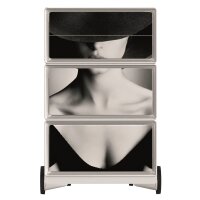 PAPERFLOW easyBox Classic Chic Rollcontainer weiß, bunt 61001 4 Auszüge 39,0 x 43,6 x 64,2 cm