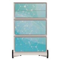 PAPERFLOW easyBox Business Rollcontainer weiß, bunt 62199 4 Auszüge 39,0 x 43,6 x 64,2 cm