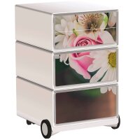 PAPERFLOW easyBox Garden Factory Rollcontainer bunt...