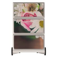 PAPERFLOW easyBox Garden Factory Rollcontainer bunt 611139 4 Auszüge 39,0 x 43,6 x 64,2 cm