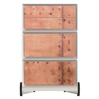 PAPERFLOW easyBox Industrial Rollcontainer weiß, bunt 61778 4 Auszüge 39,0 x 43,6 x 64,2 cm