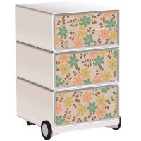 PAPERFLOW easyBox Garden Factory Rollcontainer...