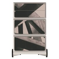 PAPERFLOW easyBox Industrial Rollcontainer weiß, bunt 61169 4 Auszüge 39,0 x 43,6 x 64,2 cm