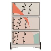 PAPERFLOW easyBox Colour Rollcontainer weiß, bunt 61061 4 Auszüge 39,0 x 43,6 x 64,2 cm