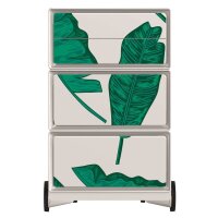 PAPERFLOW easyBox Tropical Rollcontainer weiß, bunt 60651 4 Auszüge 39,0 x 43,6 x 64,2 cm