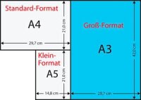 Clairefontaine Kopierpapier Laser2800 DIN A3 80 g/qm 500 Blatt