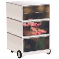 PAPERFLOW easyBox Garden Factory Rollcontainer...