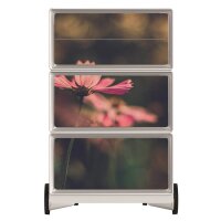 PAPERFLOW easyBox Garden Factory Rollcontainer weiß, bunt 61125 4 Auszüge 39,0 x 43,6 x 64,2 cm
