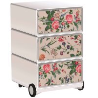 PAPERFLOW easyBox Garden Factory Rollcontainer...
