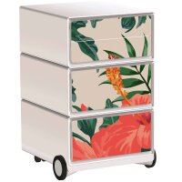 PAPERFLOW easyBox Garden Factory Rollcontainer...