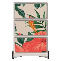 PAPERFLOW easyBox Garden Factory Rollcontainer weiß, bunt 60187 4 Auszüge 39,0 x 43,6 x 64,2 cm