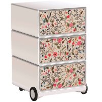 PAPERFLOW easyBox Garden Factory Rollcontainer...