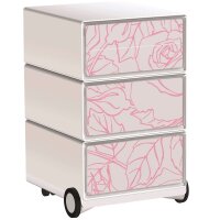 PAPERFLOW easyBox Garden Factory Rollcontainer...