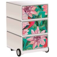 PAPERFLOW easyBox Garden Factory Rollcontainer...