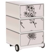PAPERFLOW easyBox Garden Factory Rollcontainer...