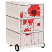 PAPERFLOW easyBox Garden Factory Rollcontainer...