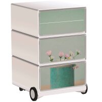 PAPERFLOW easyBox Garden Factory Rollcontainer...
