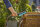 GARDENA Waschbürste für Gartenschlauch Cleansystem S hard