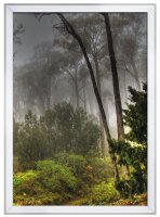 update displays  Klapprahmen silber 45,0 x 62,4 cm, 1 St.