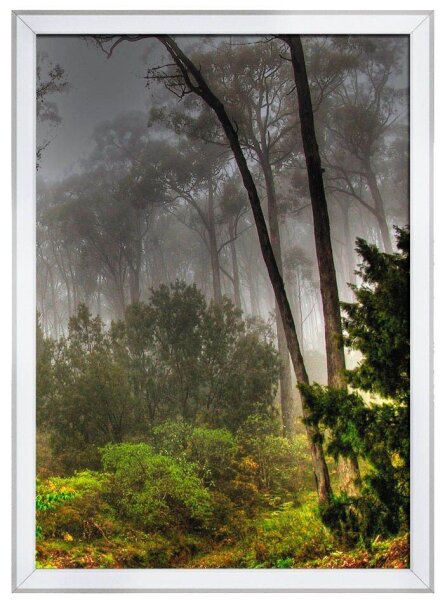 update displays  Klapprahmen silber 32,7 x 45,0 cm, 1 St.